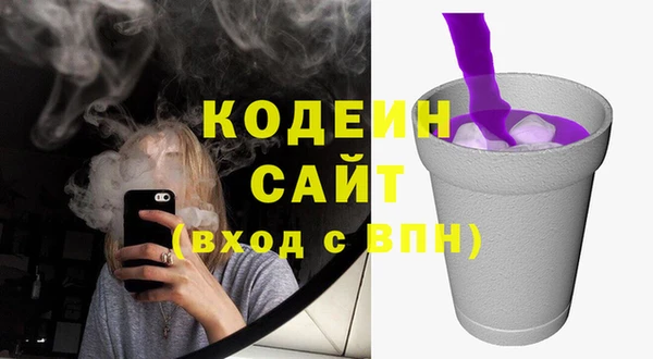 ПСИЛОЦИБИНОВЫЕ ГРИБЫ Кулебаки