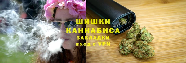 ПСИЛОЦИБИНОВЫЕ ГРИБЫ Кулебаки